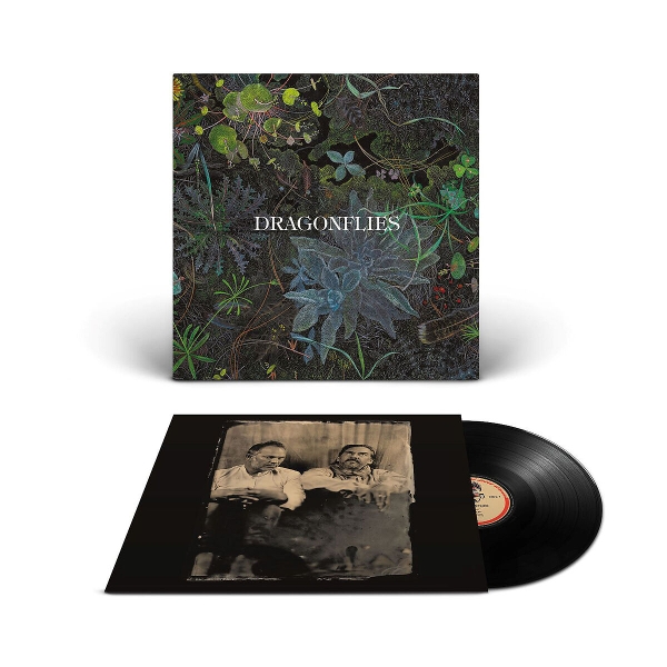 Dragonflies (LP)