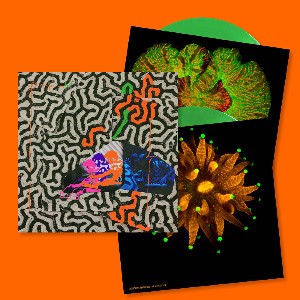 Tangerine Reef (Ltd. 2Lp) Tangerine Reef (Ltd. 2Lp)