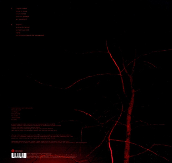Hindsight (Half-Speed Master Black Vinyl)