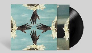 Dirty Projectors (Ltd. Coloured Deluxe 2LP+MP3)