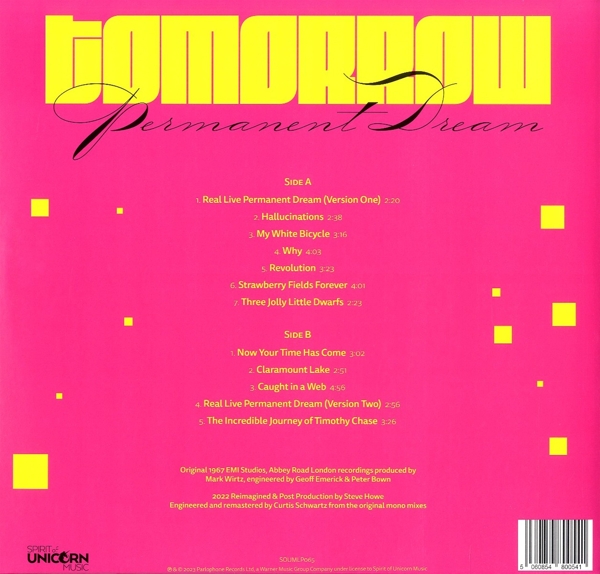 Permanent Dream (Black Vinyl)