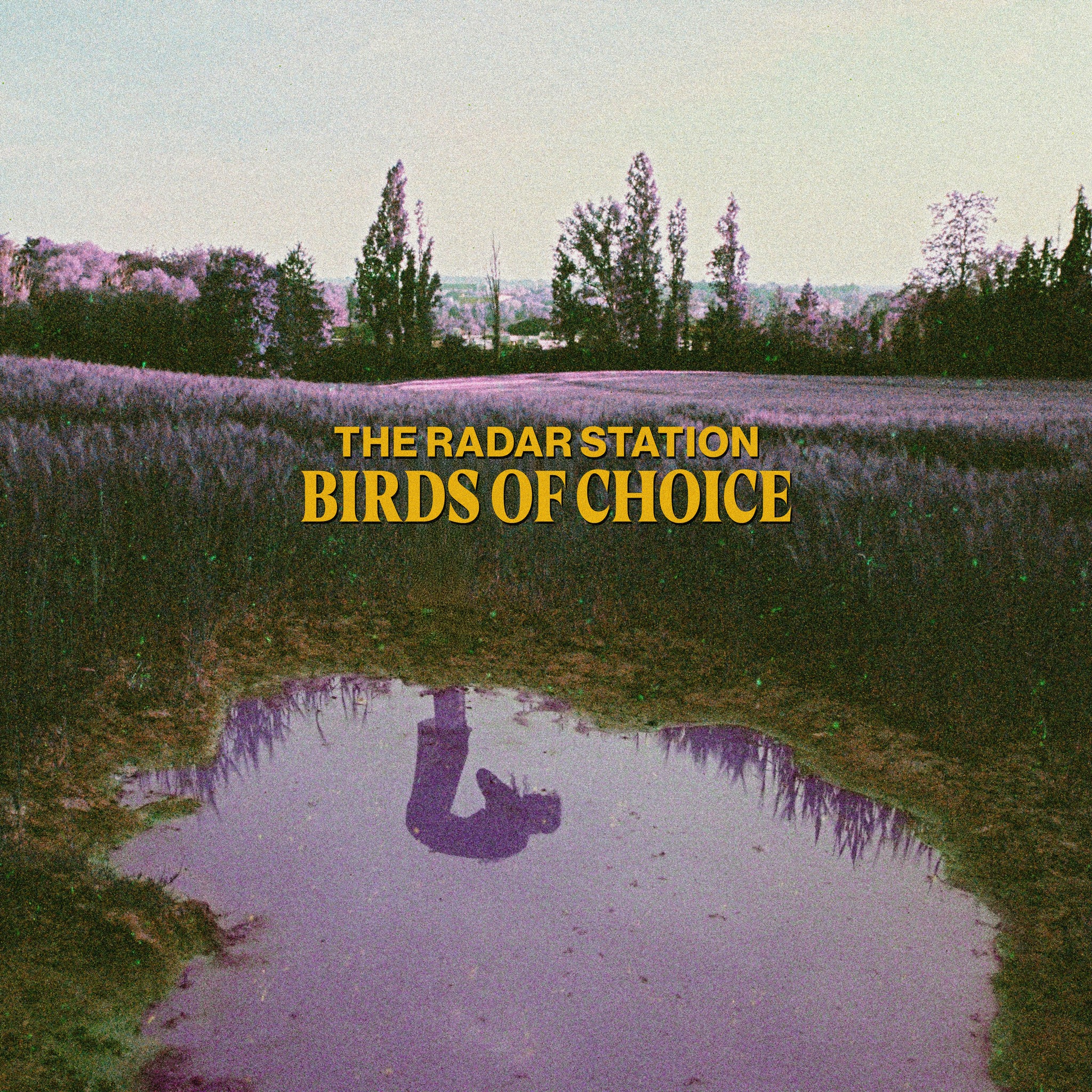Birds of Choice